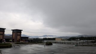 Thumbnail of post image 122