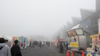 Thumbnail of post image 102