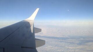 Thumbnail of post image 135