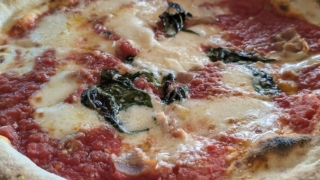 Thumbnail of post image 022